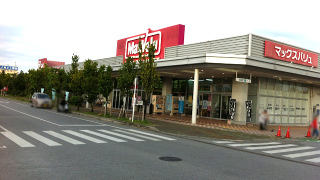 MaxValue(食料品)